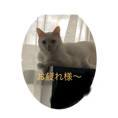 megu_20250419073452