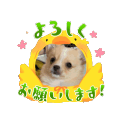 ran_20250421093746