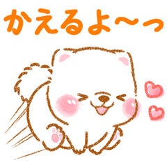 iyashibainu family shiroshiba
