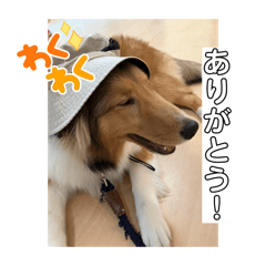 Hinata_20250419101637