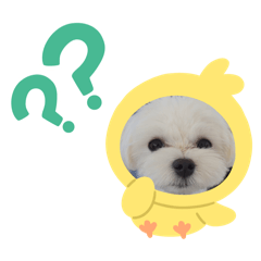 Apple_20250420173313