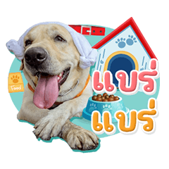 หมาอ้วนลอมเมล