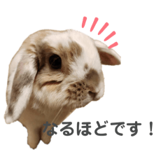 HINA_20250418200053