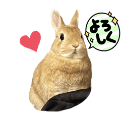 KOMUGIl