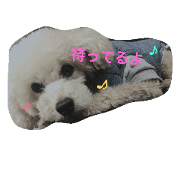 moco&coro