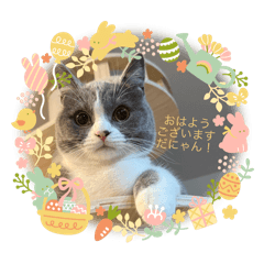 aoi_20250420182959