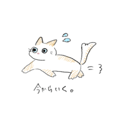 yukky_20250420165303
