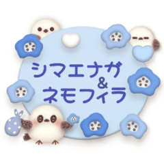marshmallow long-tailed tit & nemophila