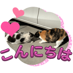 yuki_20250420190726