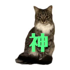 kana_20250420191712