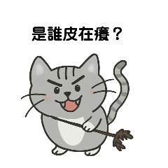 喵喵小妞