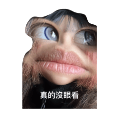 球球+C