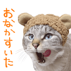 Cat Muku Sticker