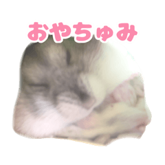Yuka_20250420203322