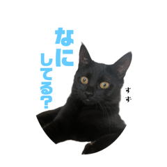 yoko.y_20250420200727