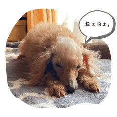 Mako_20250420211123