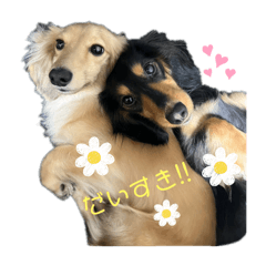 yu_20250421002254