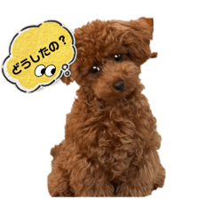Rinrin_20250420214436
