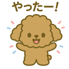 まいにちトイプー！