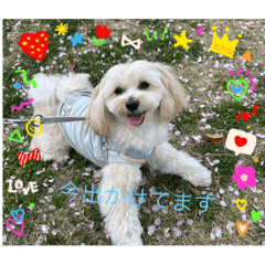 roy_20252
