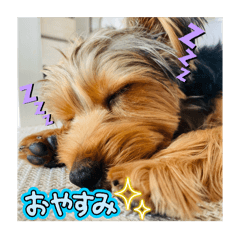 anna_20250420220456