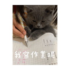 以前不會做貼圖現在終於會了