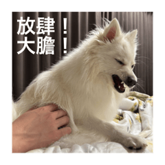 菲比公主3