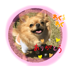 choco_20250420221814