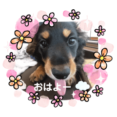 rika_kojiro