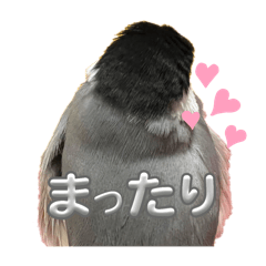 miko_20250420225047