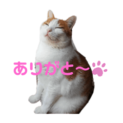 ペットスタンプ（2）