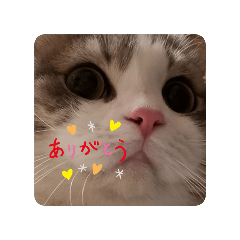 reiko_20250421003006