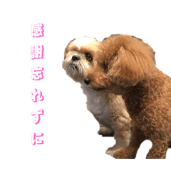 sy_20250421024200