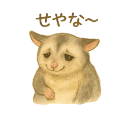 YUKI_20250421094129