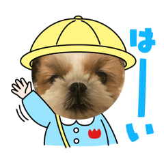 Tomo_20250421093615