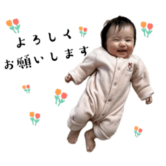 haru_20250421113832