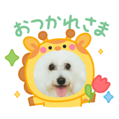 sora'sstamp3