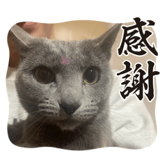 iroha_20250421133316