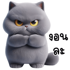 Fluffy and cute blue kitten