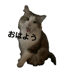nao_20250421140048