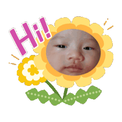 Nichaaaaaaaaaaa