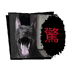 黑嚕嚕LuLu 動起來3