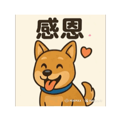 明白黑皮2