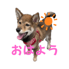 suzu_20250421113745