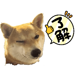 KAORU_20250421170124
