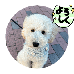 misa_20250421170259