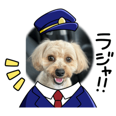 pupukun2