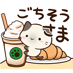 Small Siamese cat11