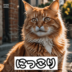 Expressive Cats: Meow Moods