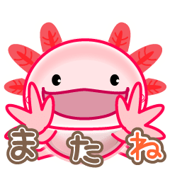 YOSSAN's "Axolotl" sticker